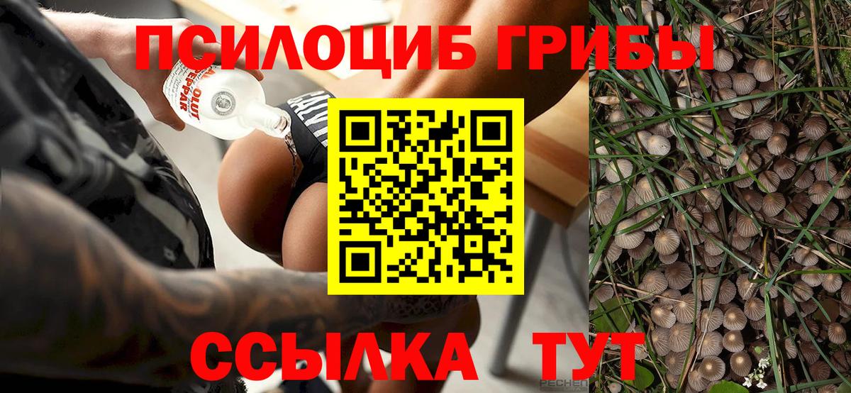 Полысаево  Псилоцибиновые грибы мухоморы  Вход с VPN 